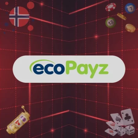 Ecopayz på Casino Norge