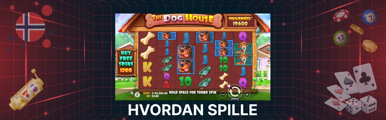 Spill dog house megaways